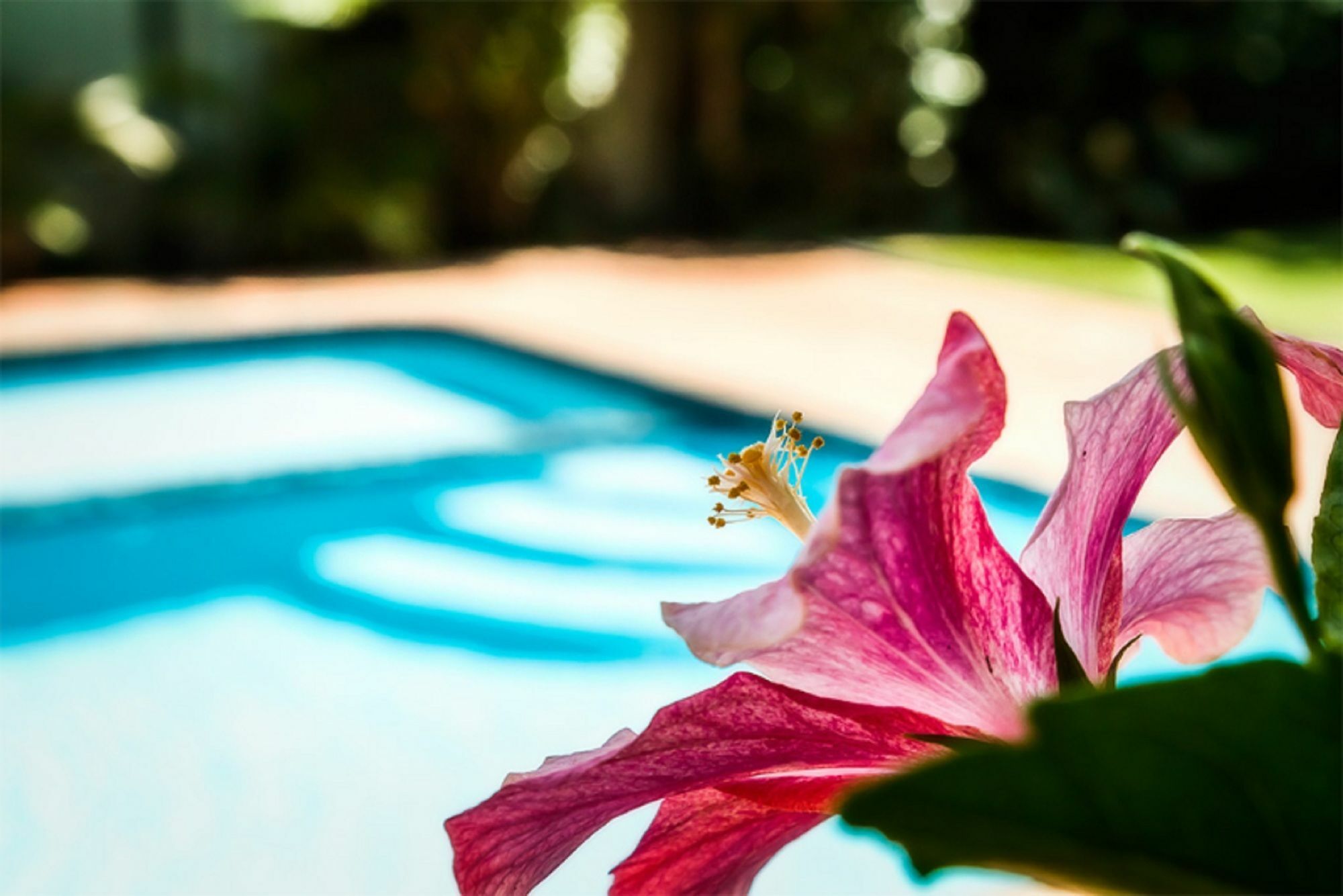 Coffs Harbour Holiday Apartments Bagian luar foto
